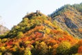 The Rkoni fortress
In autumn Royalty Free Stock Photo