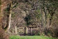 A rmablers public footback gate way to the woods