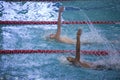 Two racially diverse swimmers competing doing backstroke Royalty Free Stock Photo