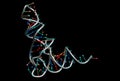 RNA Royalty Free Stock Photo