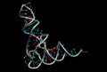 RNA