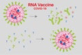 RNA Covid vaccine with spike proteins antibodies and T-cells