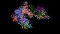 RNA polymerase I pre-initiation complex DNA opening intermediate 1 to open complex 2 conformation changes