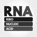 RNA - Ribonucleic acid acronym, medical concept Royalty Free Stock Photo