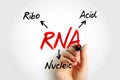 RNA Ribonucleic acid - polymeric molecule essential in various biological roles in regulation and expression of genes, acronym Royalty Free Stock Photo