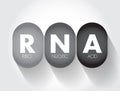 RNA Ribonucleic acid - polymeric molecule essential in various biological roles in regulation and expression of genes, acronym Royalty Free Stock Photo