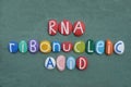 RNA, Ribonucleic acid text composed with multi colored stone letters over green sand