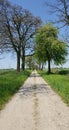 Road acros green field Royalty Free Stock Photo