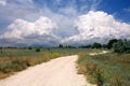 Road across steppe