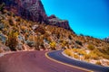 Road across Zion National park, Utah Royalty Free Stock Photo