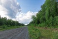 The road against the background of blue sky with white clouds on a bright sunny summer day. Part of birch trees with green foliage