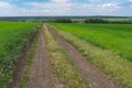 Road among agricultural fields near Dnipro city in central Ukraine Royalty Free Stock Photo