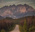 Canadian Road during Fall at Jasper National Park
