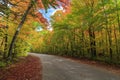 Road through Algonquin Provincial Park in fall Royalty Free Stock Photo