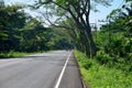 Road along jungle forest, Thailand Royalty Free Stock Photo