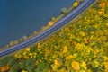 The road along the lake. Forest. Aerial view Royalty Free Stock Photo