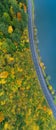The road along the lake. Forest. Aerial view Royalty Free Stock Photo