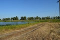 Road along the lake summer Royalty Free Stock Photo