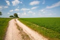 Road along lucerne field