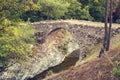 Road along Medieval Venetian bridge in the forest