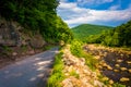 Road along Red Creek, in the rural Potomac Highlands of West Virginia. Royalty Free Stock Photo