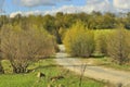 The road along the river