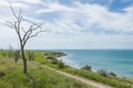 Road along the sea through wild places.