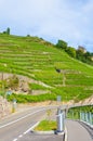Road along terraced vineyards in famous Lavaux wine region, Switzerland. Photographed in picturesque village Riex in summer season Royalty Free Stock Photo