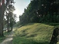 Road along Toh Tuck Forest Royalty Free Stock Photo