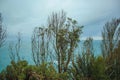 Road along the West Coast of the South Island, view of wide ocean, New Zealand