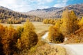 Road among the Altai Mountains. autumn Royalty Free Stock Photo