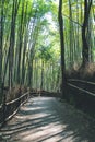 Ã¤Â¸â¬:Road amidst bamboo grove forest, Arashiyama, Kyoto, Japan 12 April 2012 Royalty Free Stock Photo