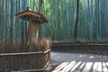 Road amidst bamboo grove forest, Arashiyama, Kyoto, Japan 12 April 2012 Royalty Free Stock Photo