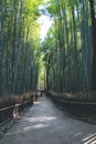 Road amidst bamboo grove forest, Arashiyama, Kyoto, Japan 12 April 2012 Royalty Free Stock Photo