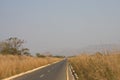 Road amongst golden grass, Kwanza Norte