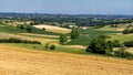 Road to Antignano and San Martino Alfieri, Asti, in Monferrato Royalty Free Stock Photo