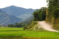 The road around fewa lake,nepal