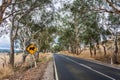 Road in Australia, with koala crossing sign