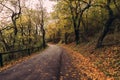 Road in Austria in the Fall