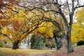 Road In Autumn Royalty Free Stock Photo