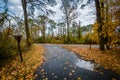 Road and autumn color at Chincoteague National Wildlife Refuge,