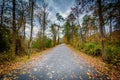 Road and autumn color at Chincoteague National Wildlife Refuge,