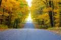 Road in Autumn