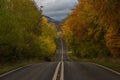 Road in autumn