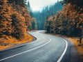 Road in autumn foggy forest in rainy day. Mountain roadway