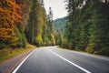 Road in autumn foggy forest at sunset in rainy day Royalty Free Stock Photo