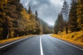 Road in autumn foggy forest at sunset in rainy day Royalty Free Stock Photo