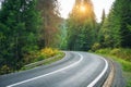 Road in autumn foggy forest at sunset in rainy day Royalty Free Stock Photo