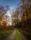 A road through an autumn forest adorn in golden colors. Picture from the Fyle valley, Scania, Sweden Royalty Free Stock Photo