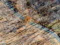 Road through the autumn forest. Aerial top view forest Royalty Free Stock Photo